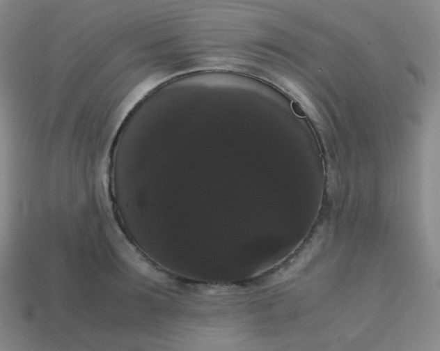 X0000113850899200910081643