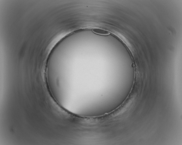 X0000113850901200910081643