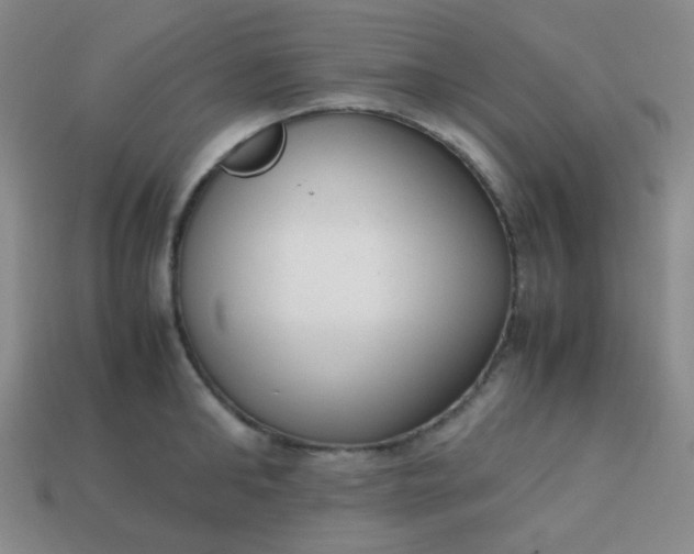 X0000113850902200910081643