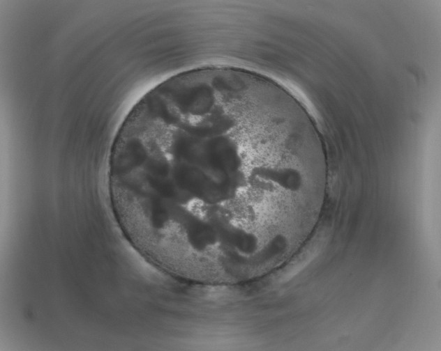 X0000113850903200910081643