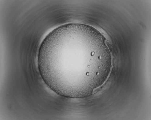 X0000113850904200910081643