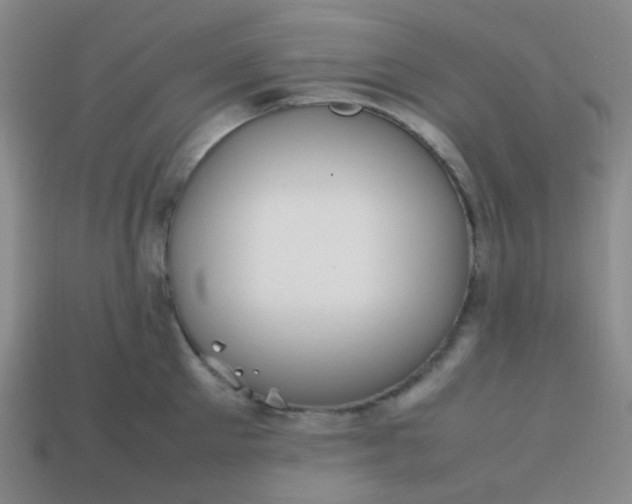 X0000113850905200910081643