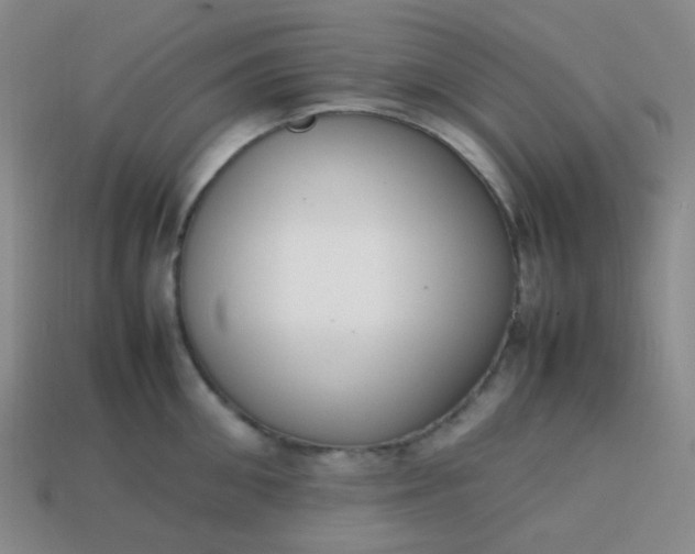 X0000113850906200910081643