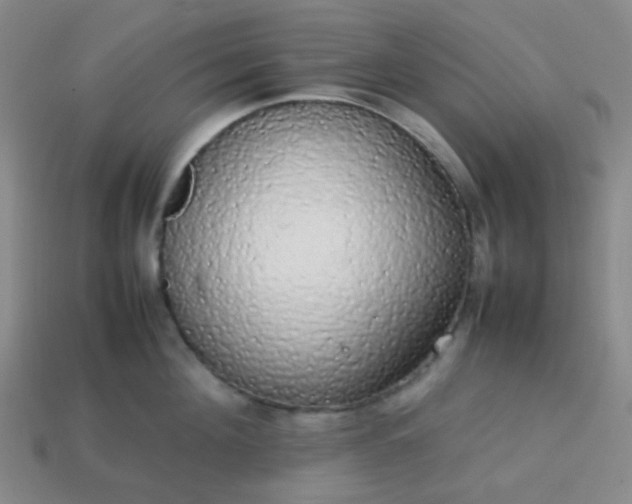 X0000113850908200910081643