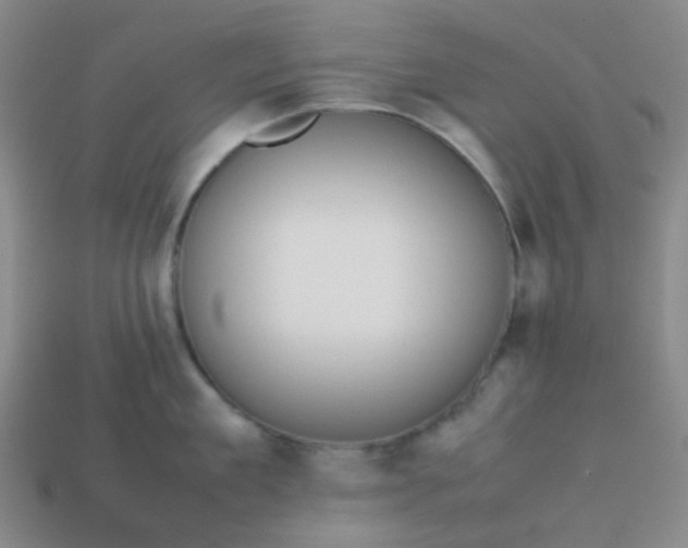 X0000113850909200910081643