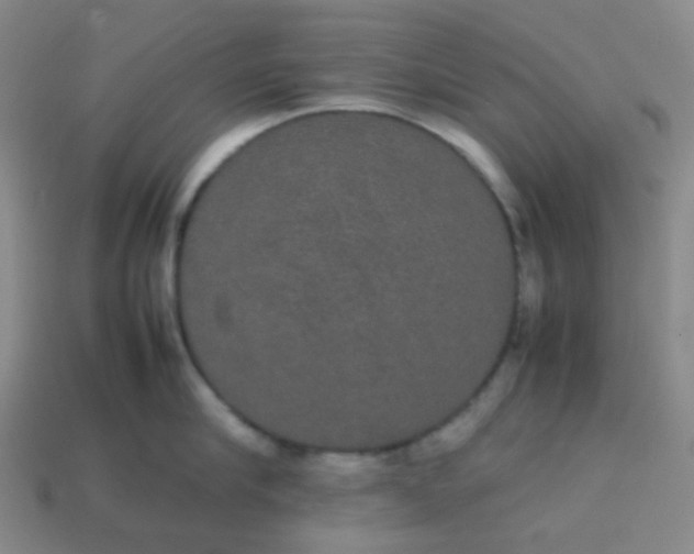 X0000113850910200910081643