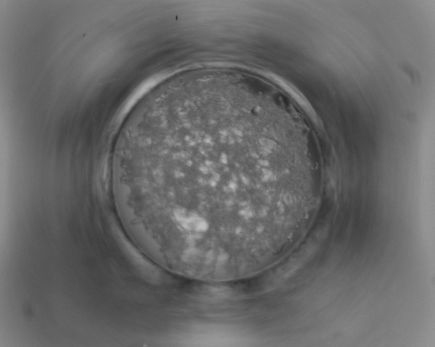 X0000113850911200910081643