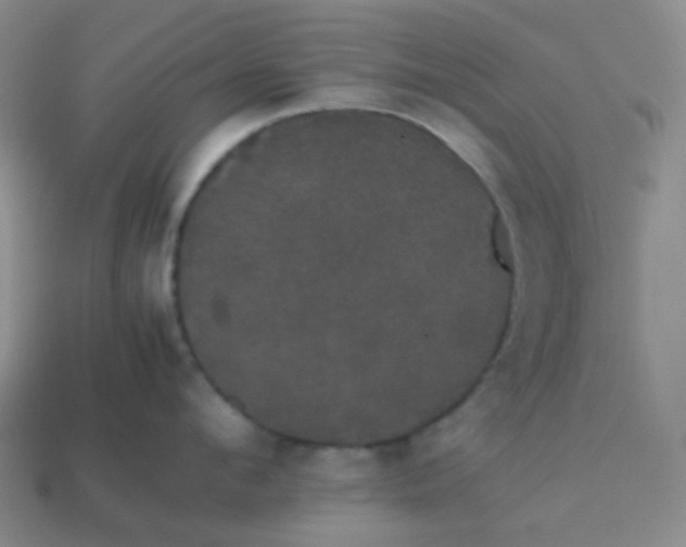 X0000113850912200910081643