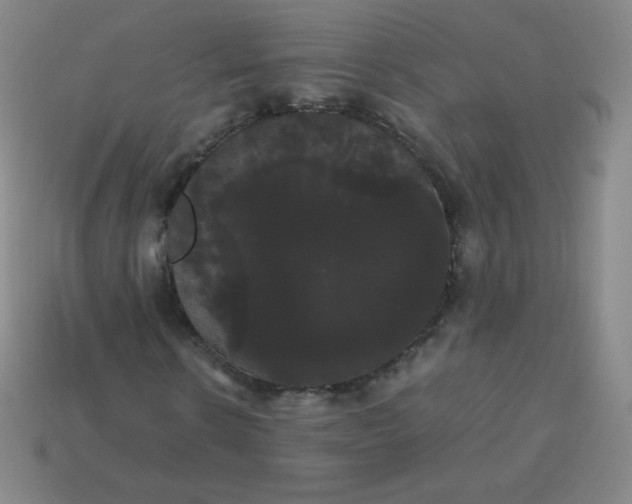 X0000113850914200910081642