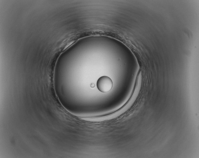 X0000113850916200910081642