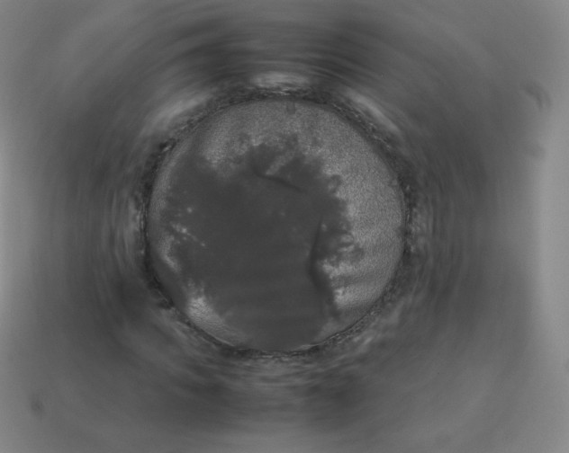 X0000113850917200910081642