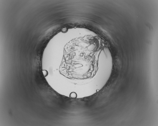 X0000113850918200910081642