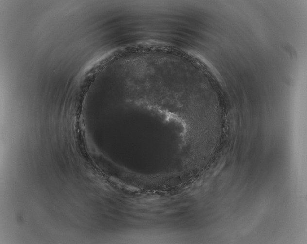 X0000113850919200910081642