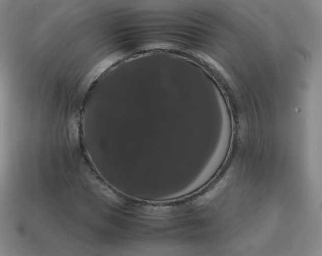 X0000113850921200910081642