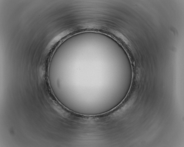 X0000113850922200910081642