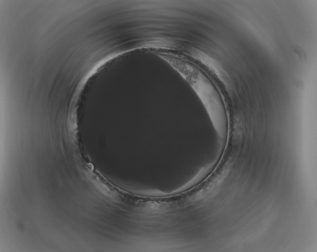 X0000113850923200910081642