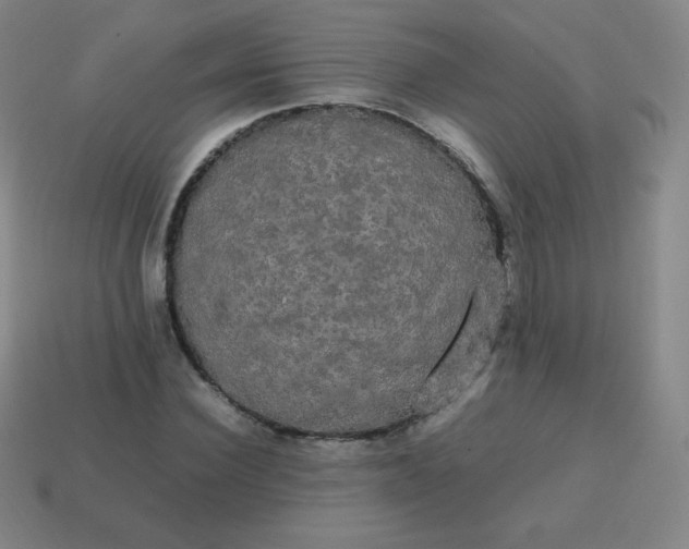 X0000113850924200910081642