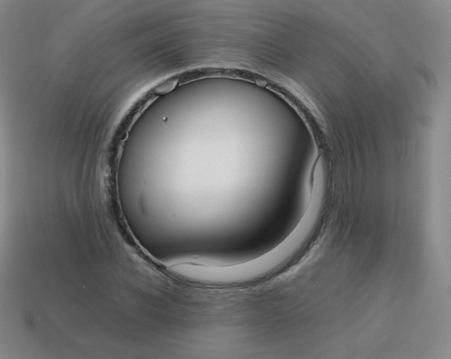 X0000113850926200910081642