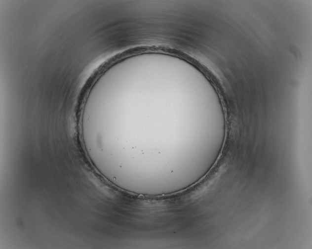 X0000113850927200910081642