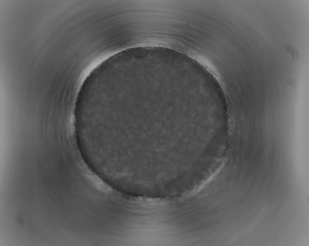 X0000113850928200910081642