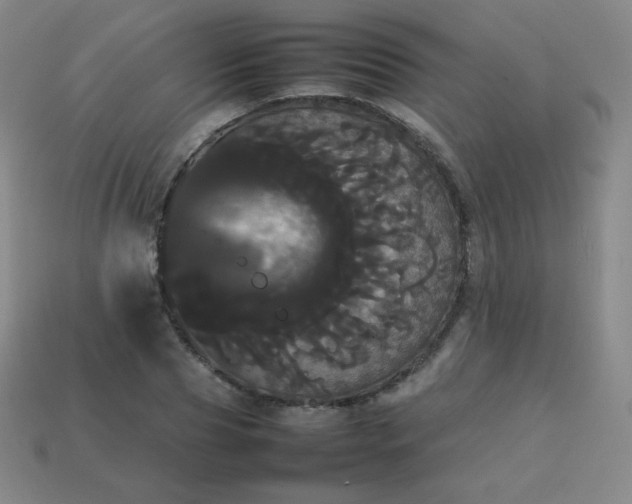 X0000113850929200910081642