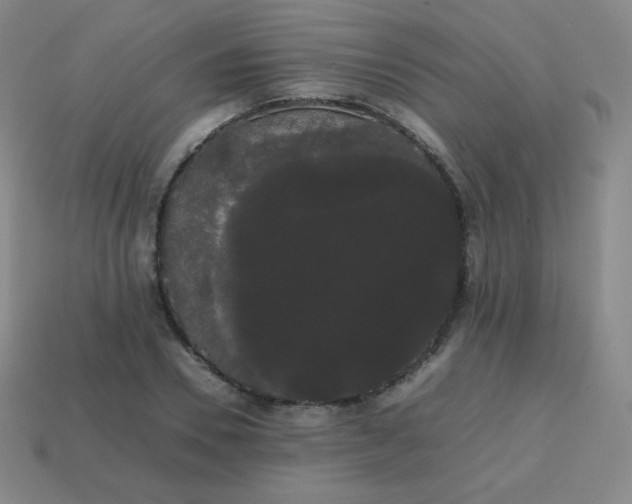 X0000113850930200910081642