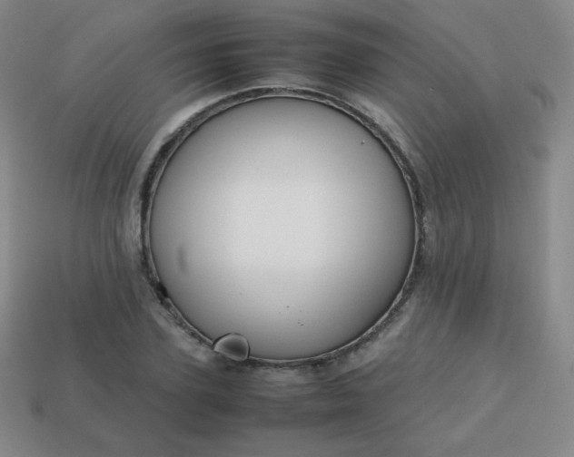 X0000113850931200910081643