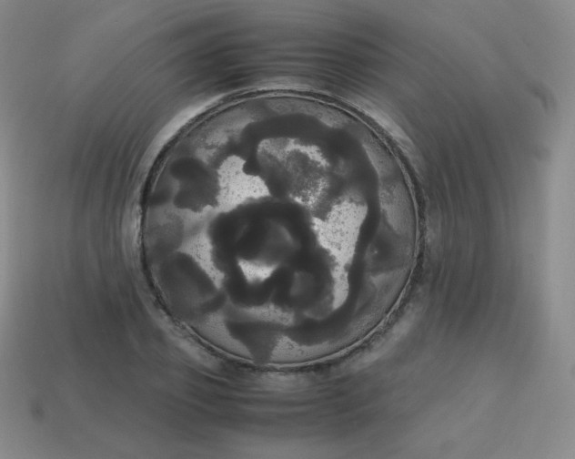 X0000113850933200910081643