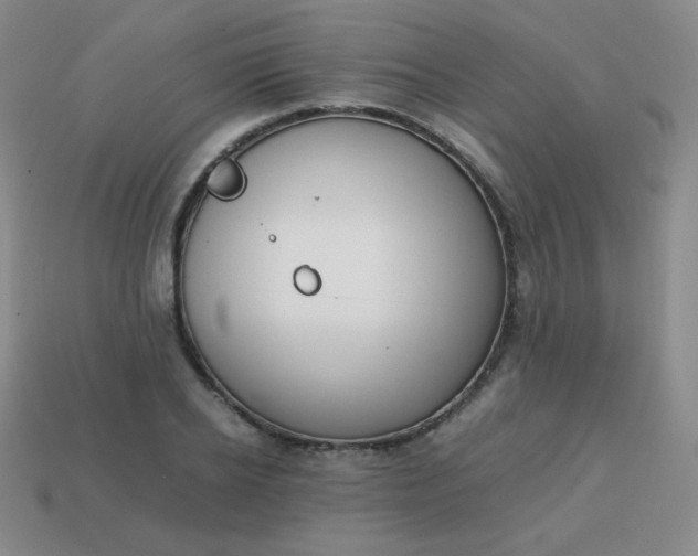 X0000113850934200910081643