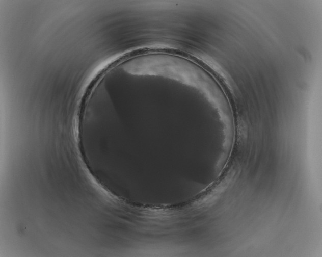 X0000113850935200910081643