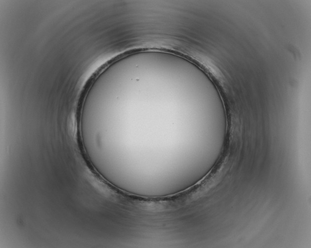 X0000113850936200910081643