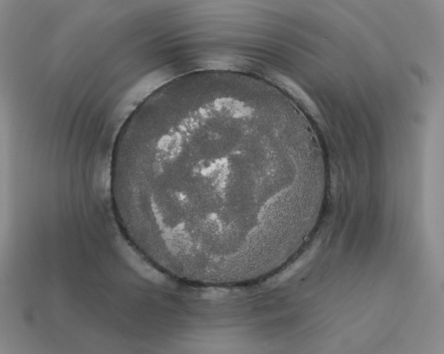 X0000113850938200910081643