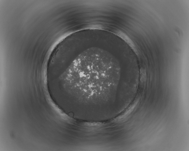 X0000113850939200910081643