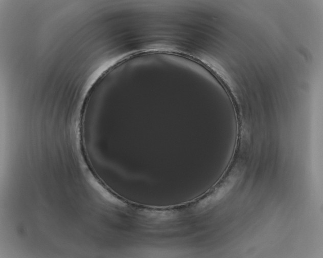 X0000113850941200910081643