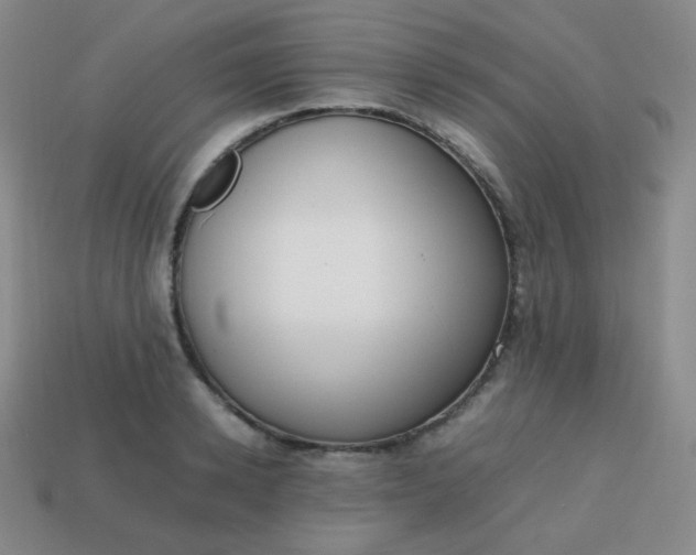 X0000113850942200910081643