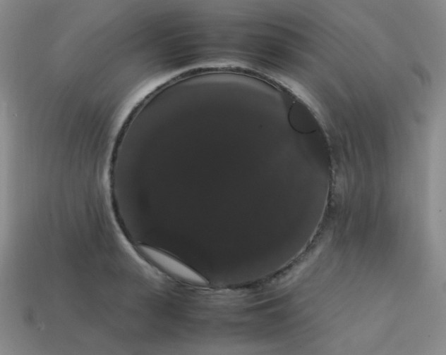 X0000113850943200910081643