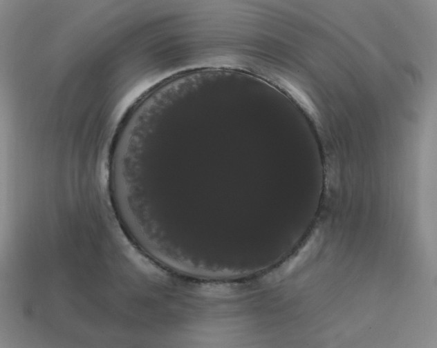 X0000113850944200910081643