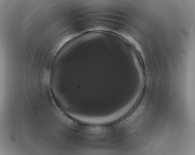 X0000113850945200910081643