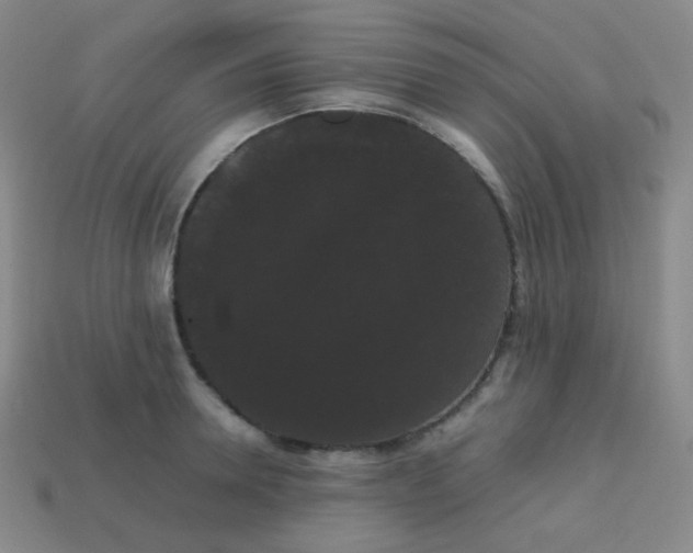 X0000113850946200910081643