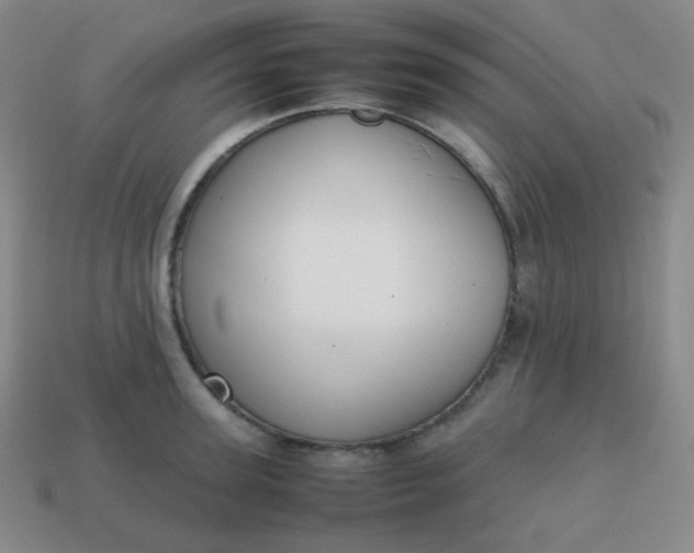 X0000113850947200910081643