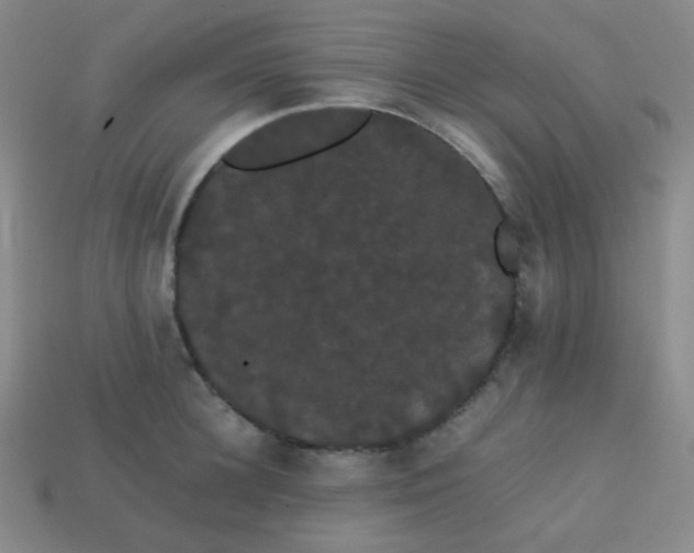 X0000113850948200910081643