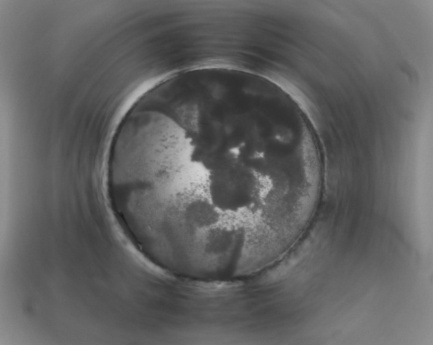 X0000113850949200910081643