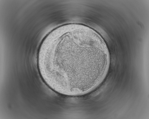 X0000113850950200910081643