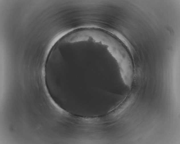 X0000113850951200910081643