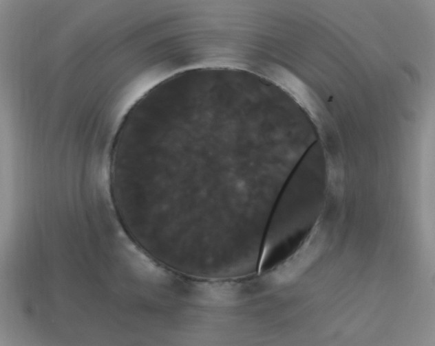 X0000113850952200910081643