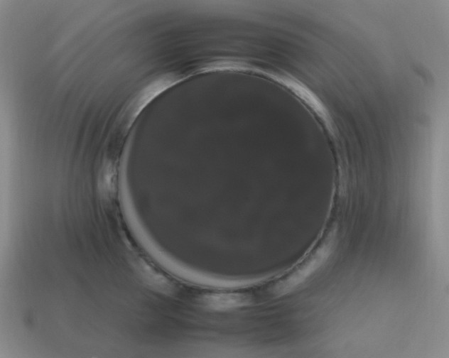 X0000113850953200910081643