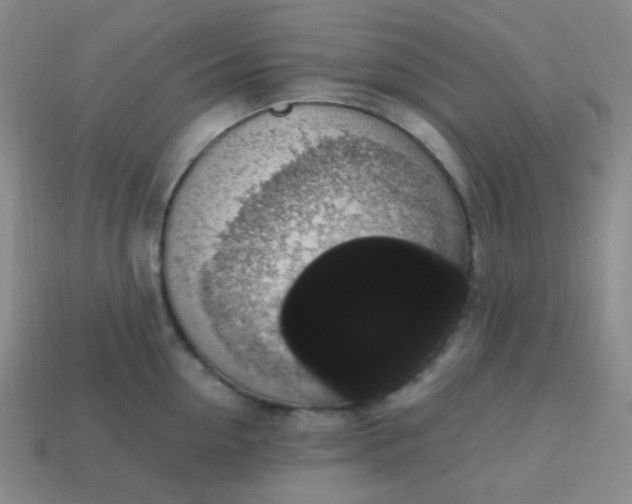 X0000113850954200910081643