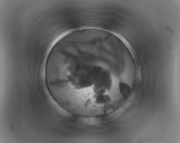 X0000113850957200910081643