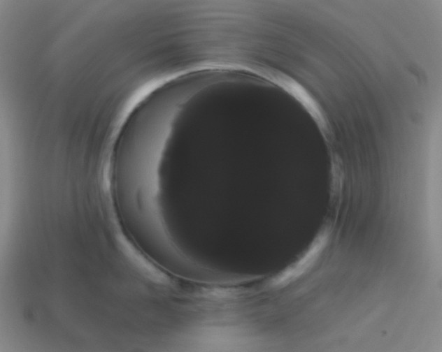 X0000113850958200910081643