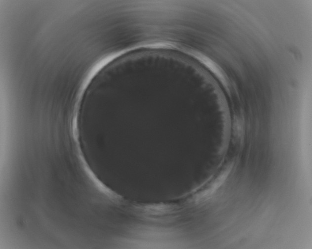 X0000113850959200910081643